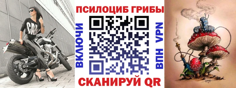 hydra ССЫЛКА  Зуевка  Галлюциногенные грибы MAGIC MUSHROOMS 